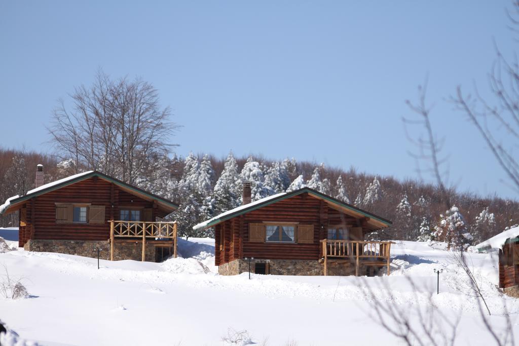 Sfendamos Wood Village Náusza Imathíasz Kültér fotó