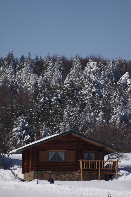 Sfendamos Wood Village Náusza Imathíasz Kültér fotó